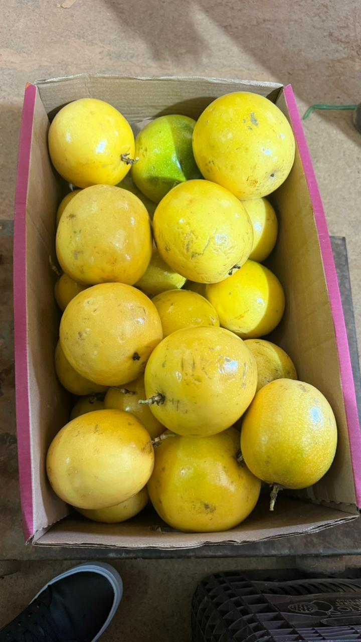 Caixa de maracujá amarelo para compra recorrente no atacado