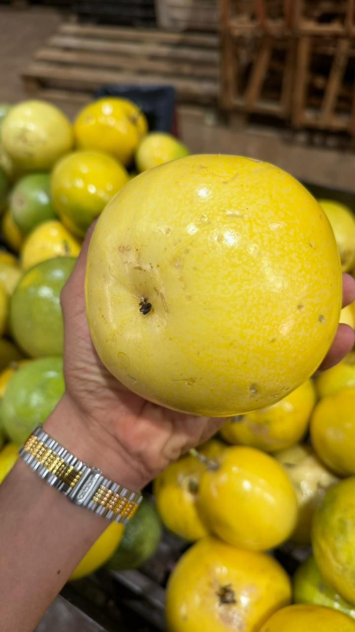 Maracujá em detalhe para cotação comercial na CEASA Brasília